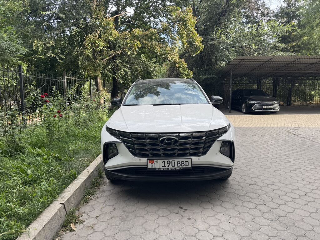Hyundai Tucson: 2024 г., 2 л, Автомат, Бензин, Кроссовер: фото 3