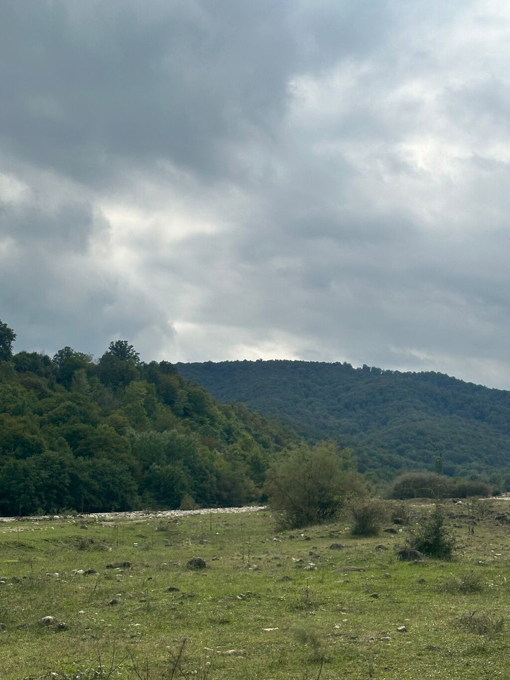 TORPAQ SATILIR – QUBA 📍 Ünvan: Quba rayonu, Əski İqriq kəndi 🛣️