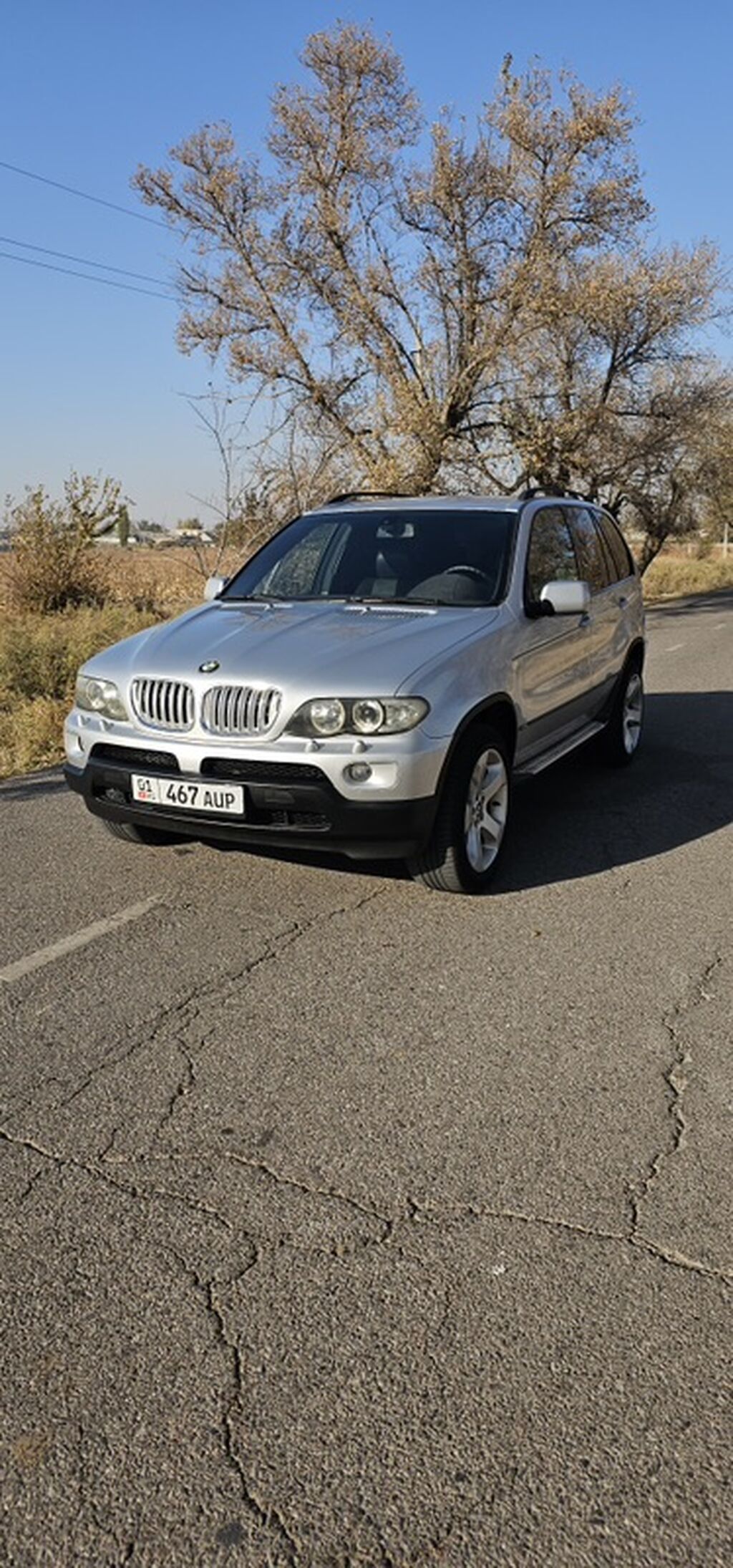 BMW X5: 2004 г., 3 л, Автомат, Дизель, Кроссовер: фото 2