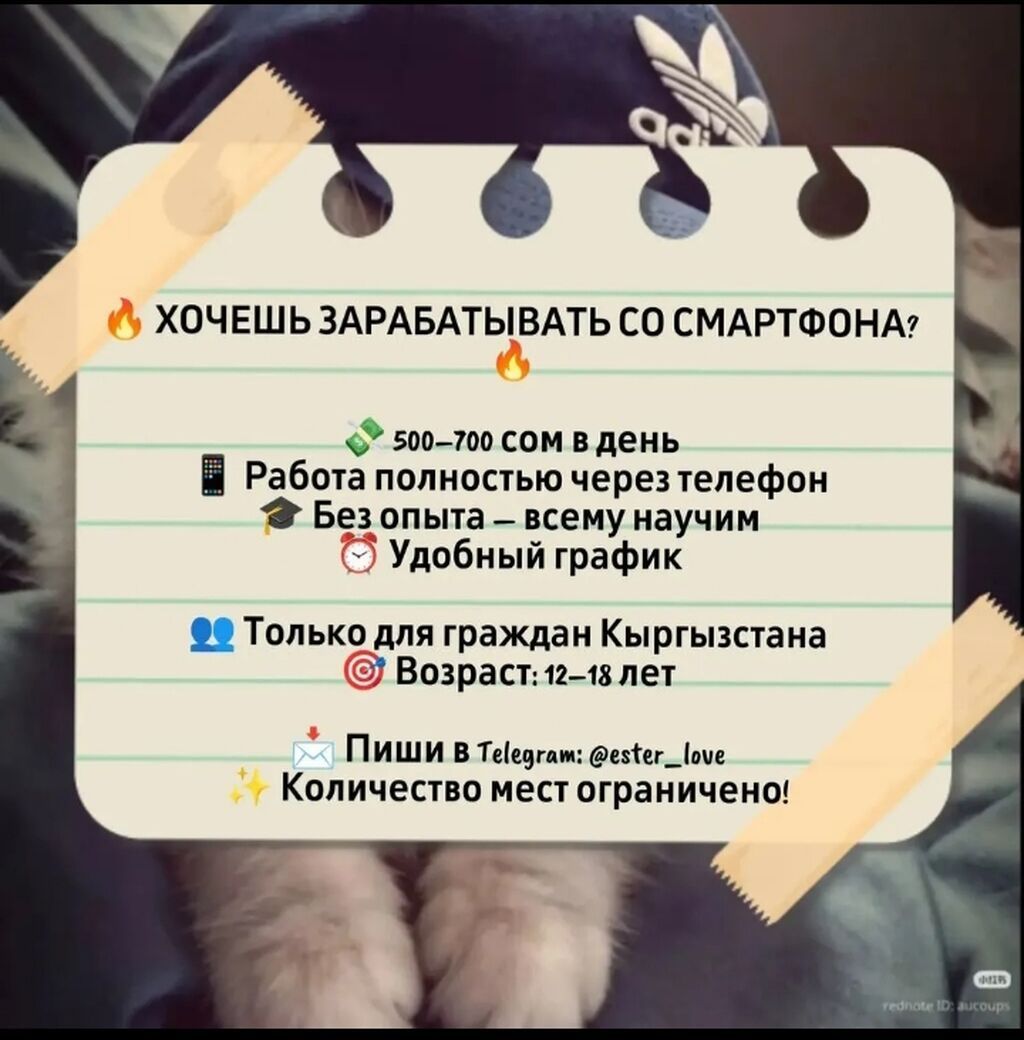 Онлайн‑работа для подростков 12–18 лет - Формат: полностью через: фото 3