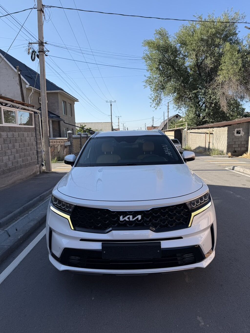 Kia Sorento: 2022 г., 1.6 л, Автомат, Гибрид, Кроссовер: фото 1
