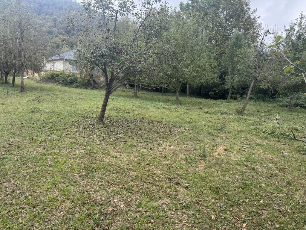 4 sot, Tikinti, Kupça (Çıxarış), Texniki pasport