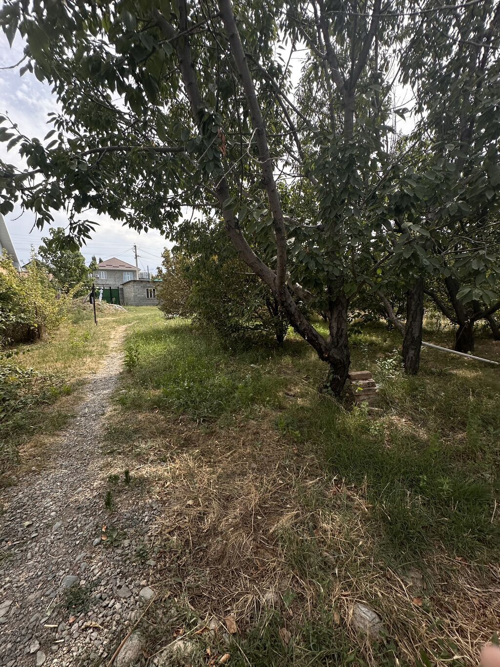 8 соток, Для бизнеса, Красная книга, Договор купли-продажи: фото 3