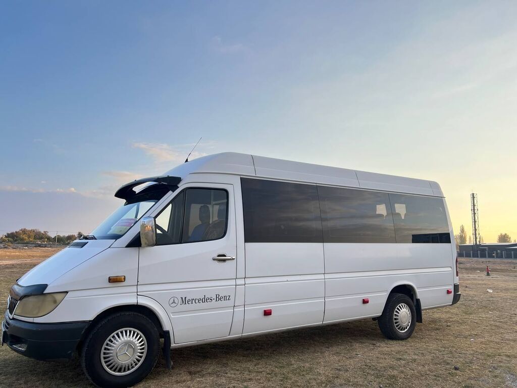 Mercedes-Benz Спринтер: 2002 г., 2.2 л, Механика, Дизель, Бус: фото 4