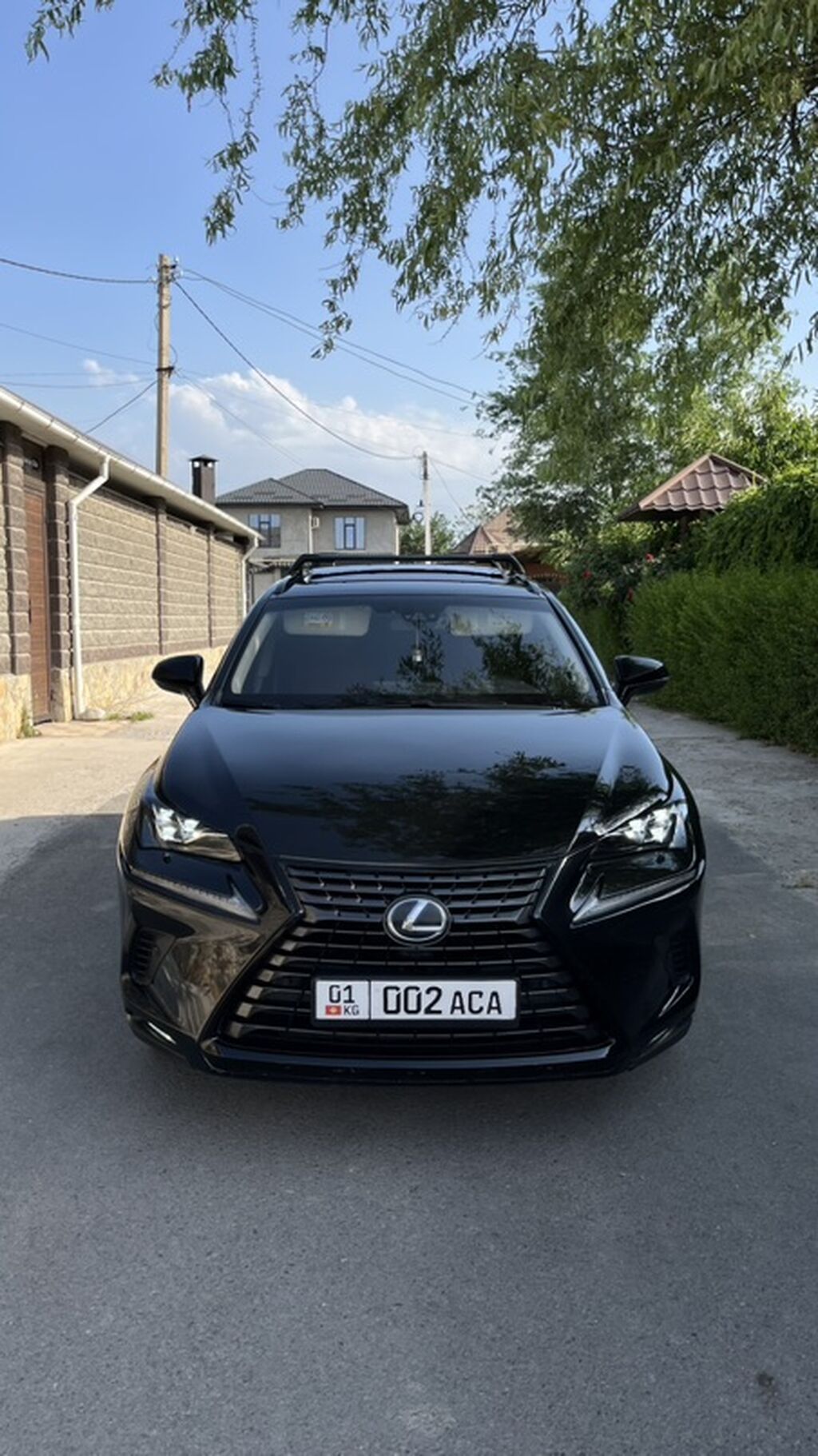 Lexus NX: 2020 г., 2.5 л, Вариатор, Гибрид, Кроссовер: фото 1