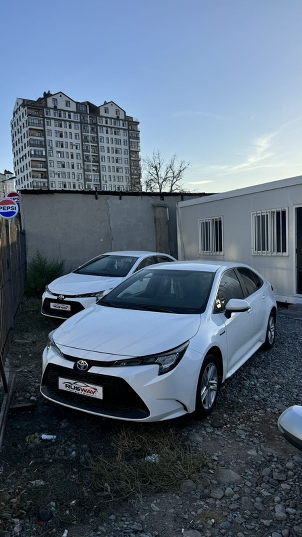 Toyota Corolla: 2022 г., Гибрид, Седан: фото 2