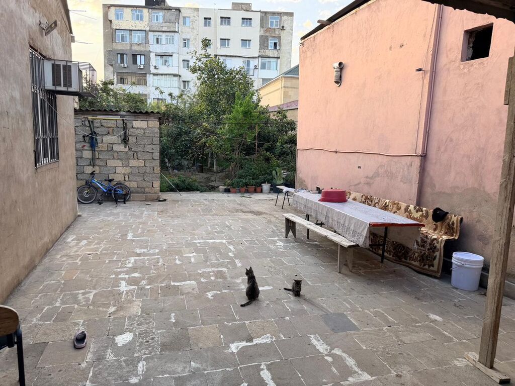6 sot, Biznes üçün, Mülkiyyətçi, Kupça (Çıxarış)