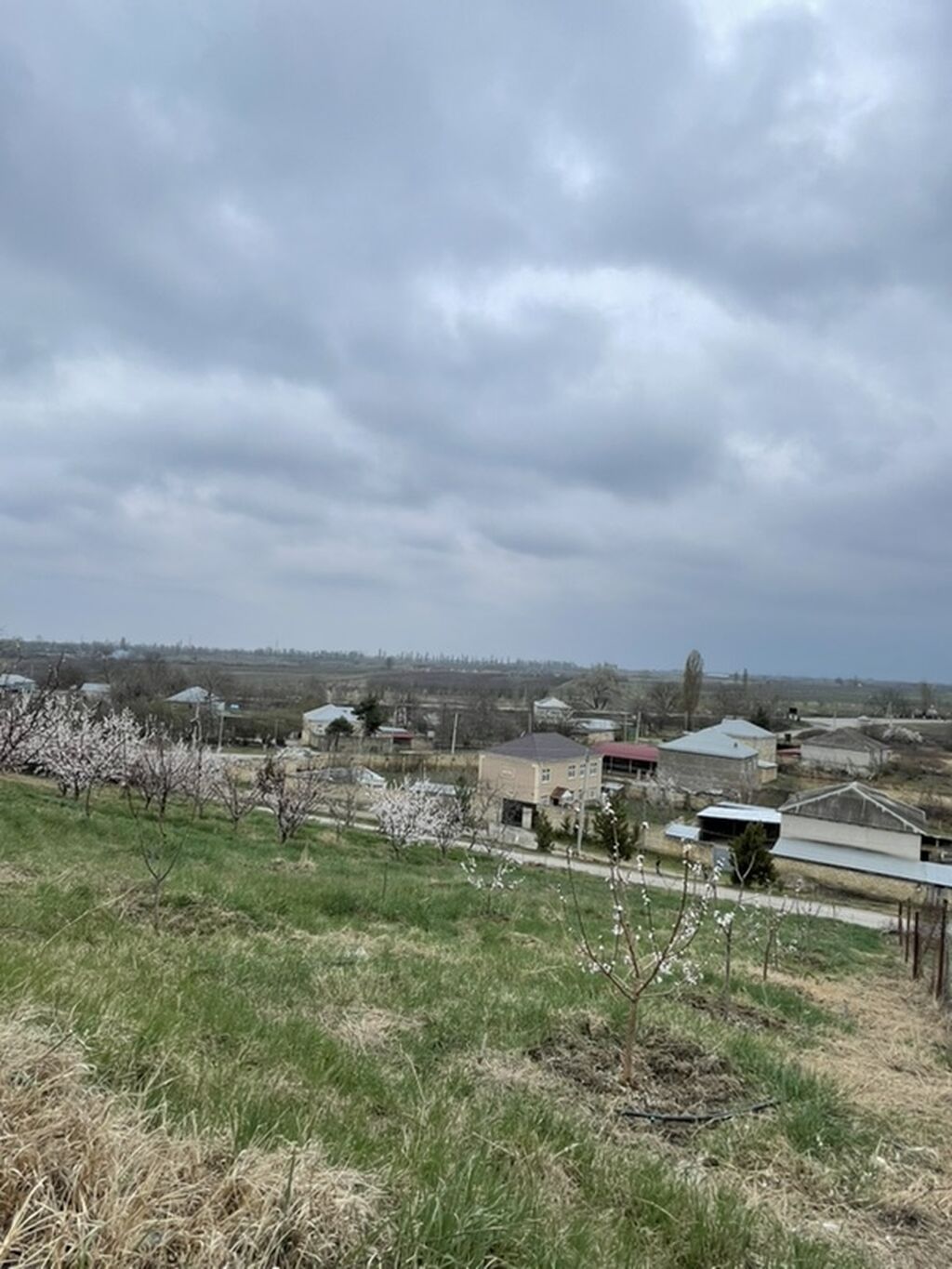 Kənd təsərrüfatı, Makler, Kupça (Çıxarış)