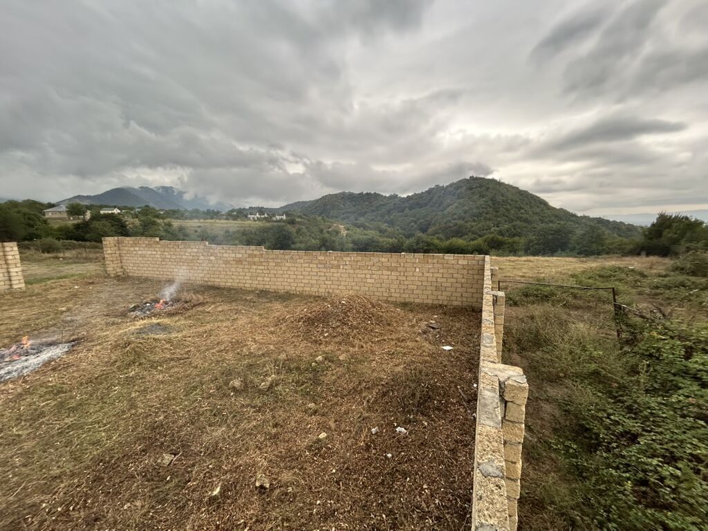 15 sot, Tikinti, Mülkiyyətçi, Kupça (Çıxarış)