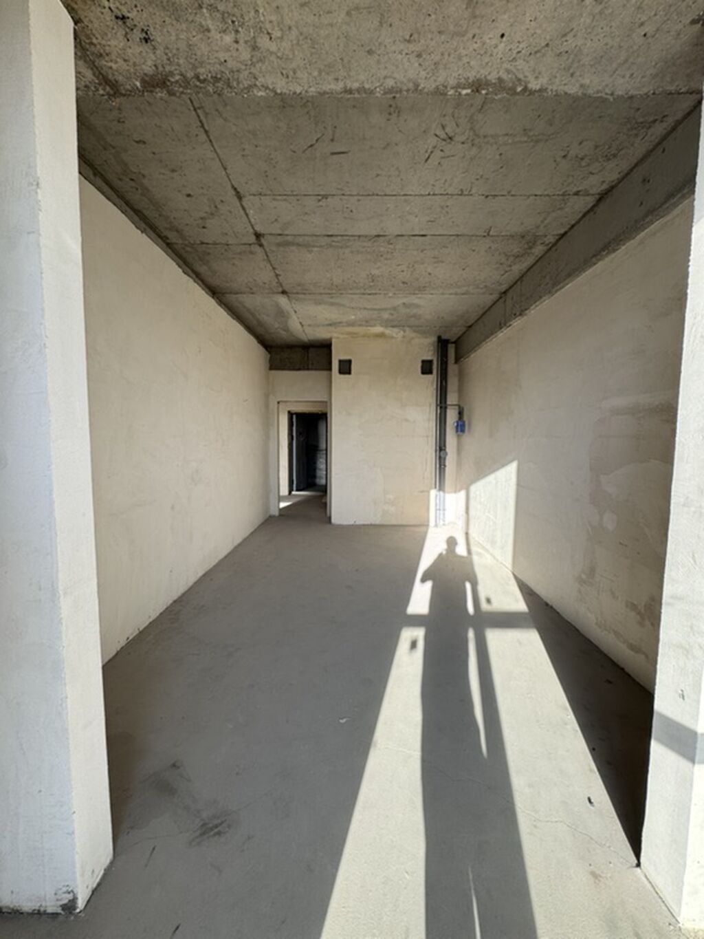 1 комната, 56 м², БГУ Элитка, 12 этаж, ПСО (под самоотделку): фото 6