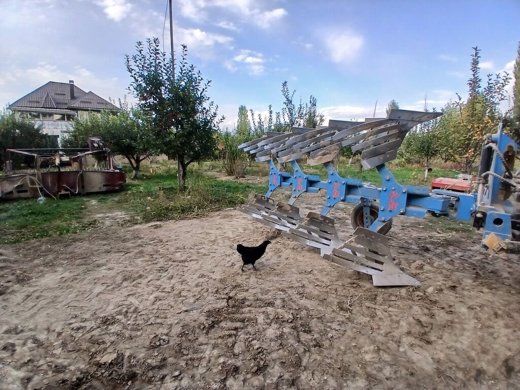 Соко сатылат состояние идеал келгенине бир жыл боло элек. адрес: фото 4