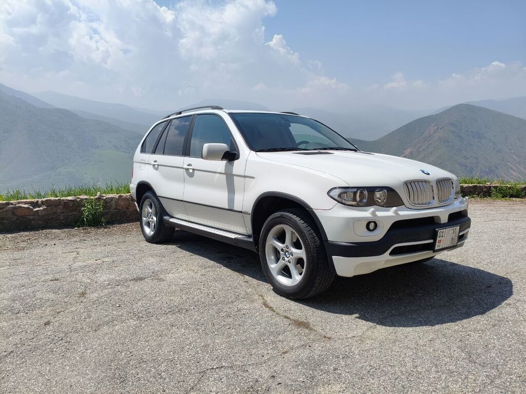 BMW X5: 2004 г., 3 л, Автомат, Бензин: фото 5
