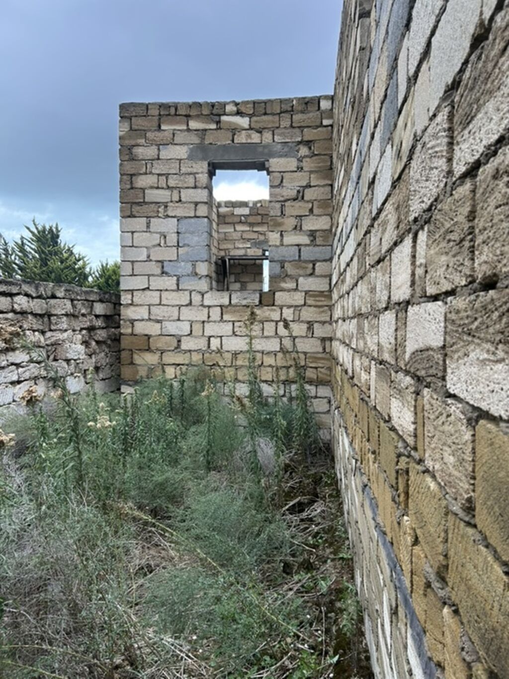 6 sot, Tikinti, Kupça (Çıxarış)