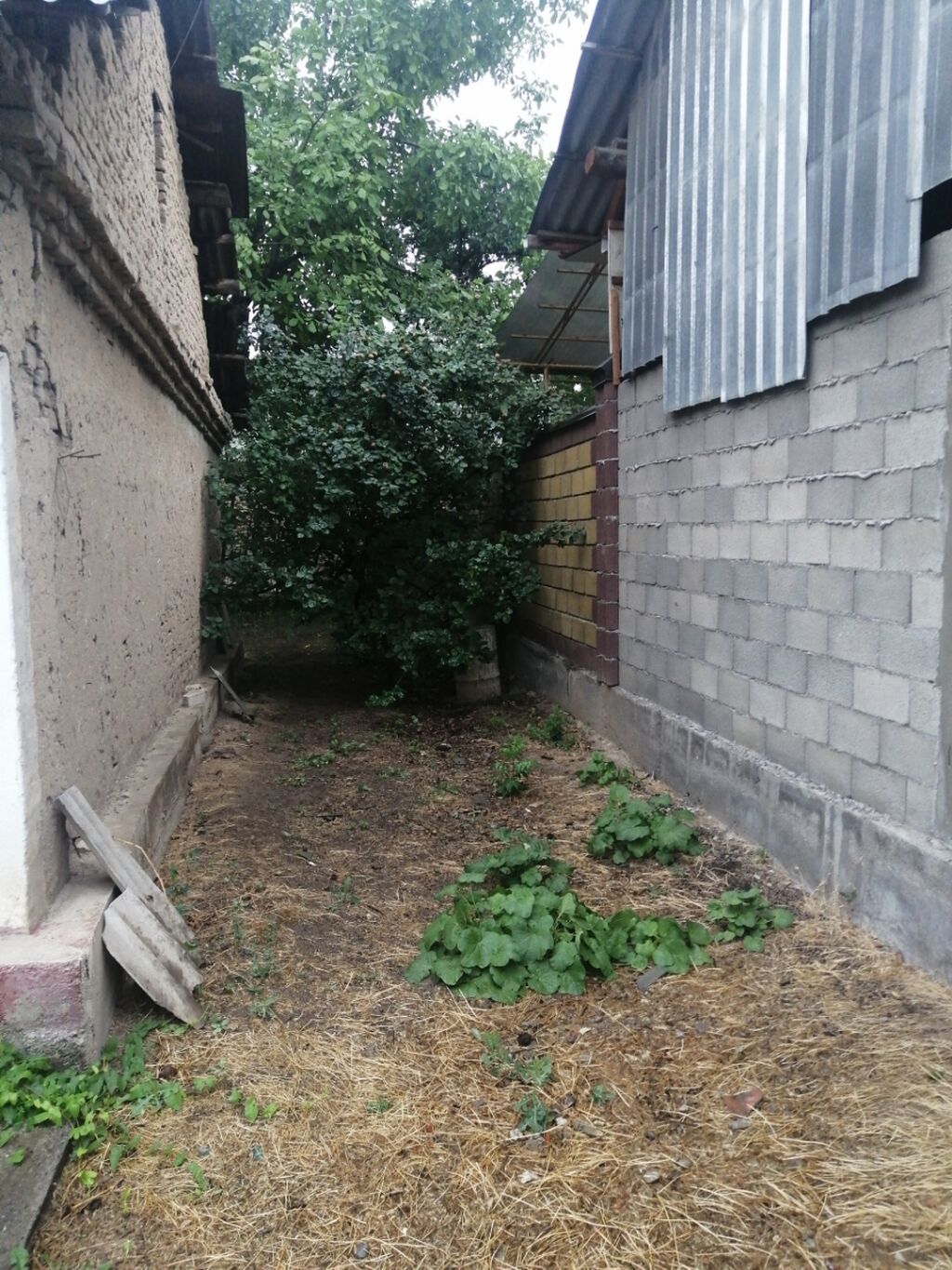 Продаётся дом с двором и садом в Ошском районе, ул. Джим, 49. -: фото 2