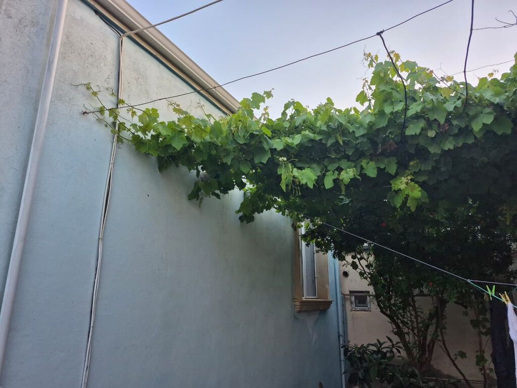 3 otaqlı, 81 kv. m, Kredit yoxdur, Yeni təmirli