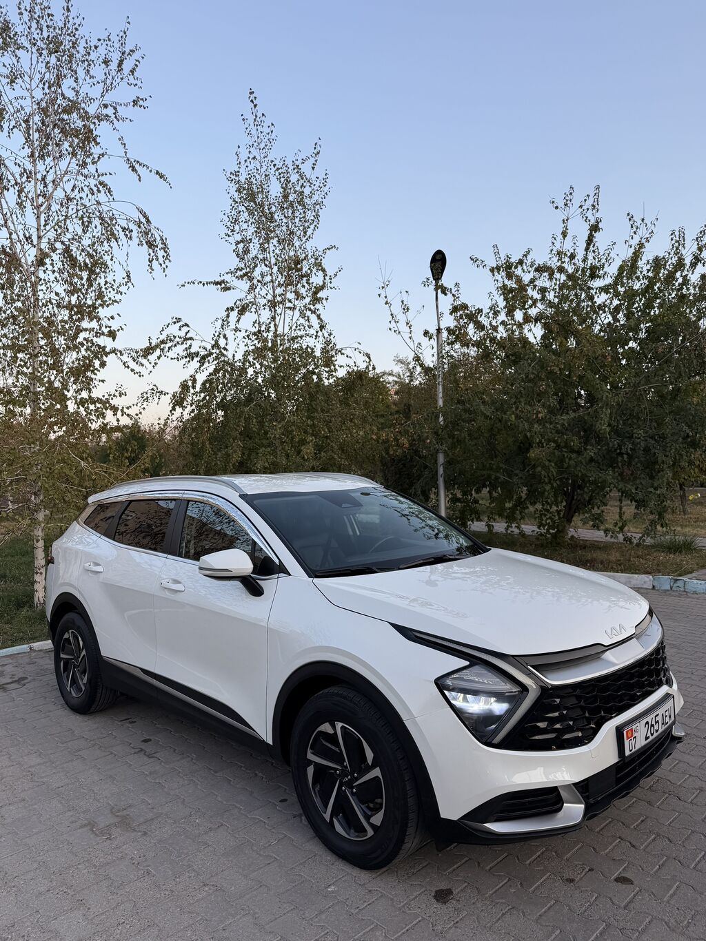 Kia Sportage: 2022 г., 1.6 л, Автомат, Гибрид, Кроссовер: фото 5