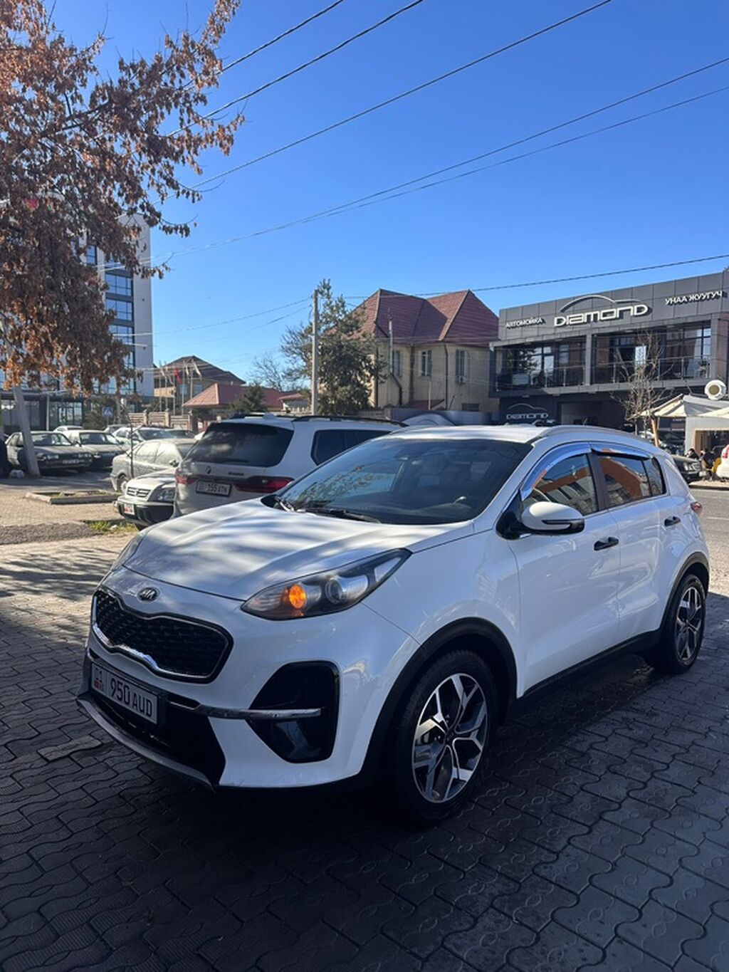 Kia Sportage: 2020 г., 2 л, Автомат, Дизель, Кроссовер: фото 2