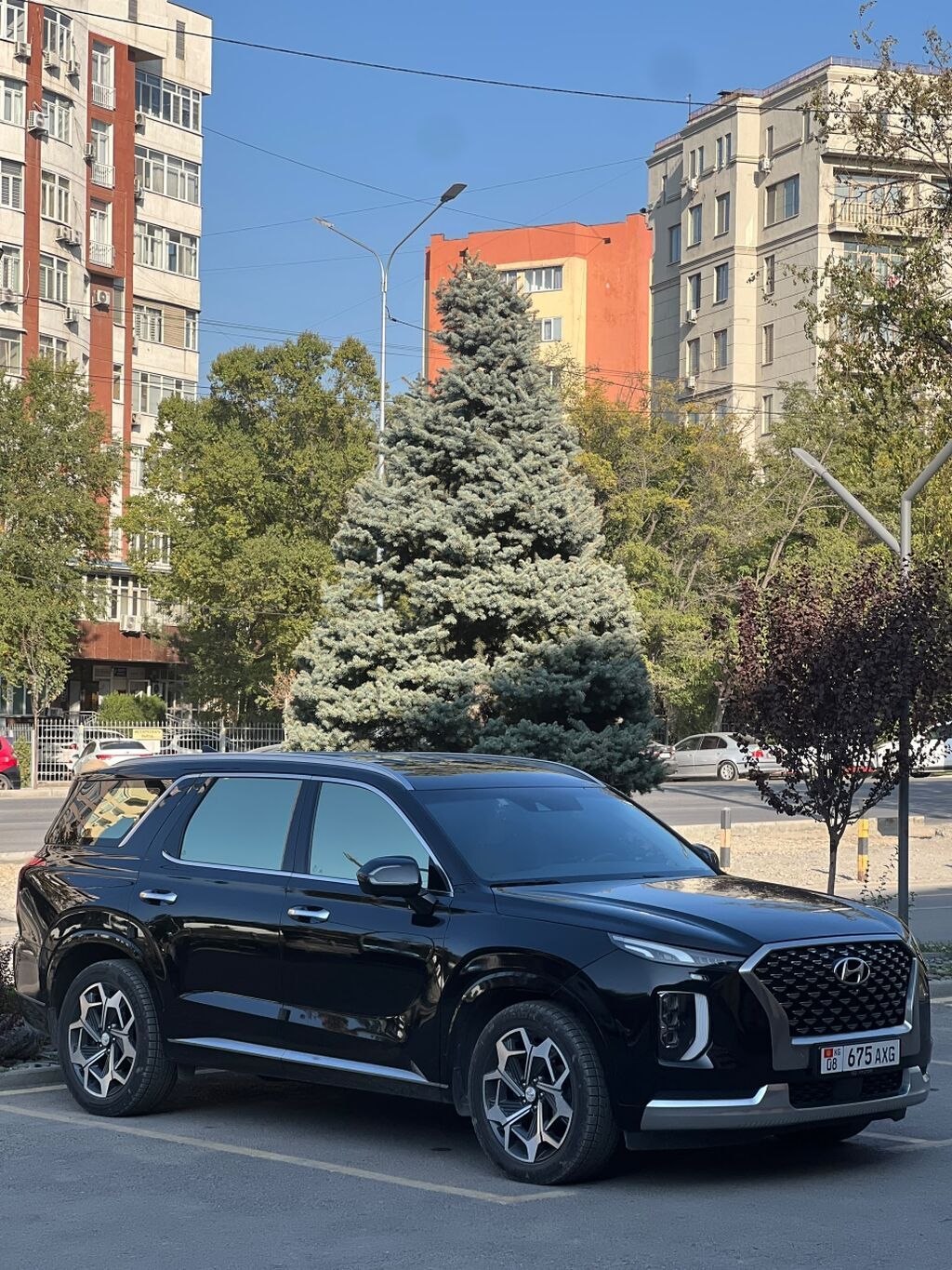 Hyundai Palisade: 2021 г., 2.2 л, Автомат, Дизель, Кроссовер: фото 3