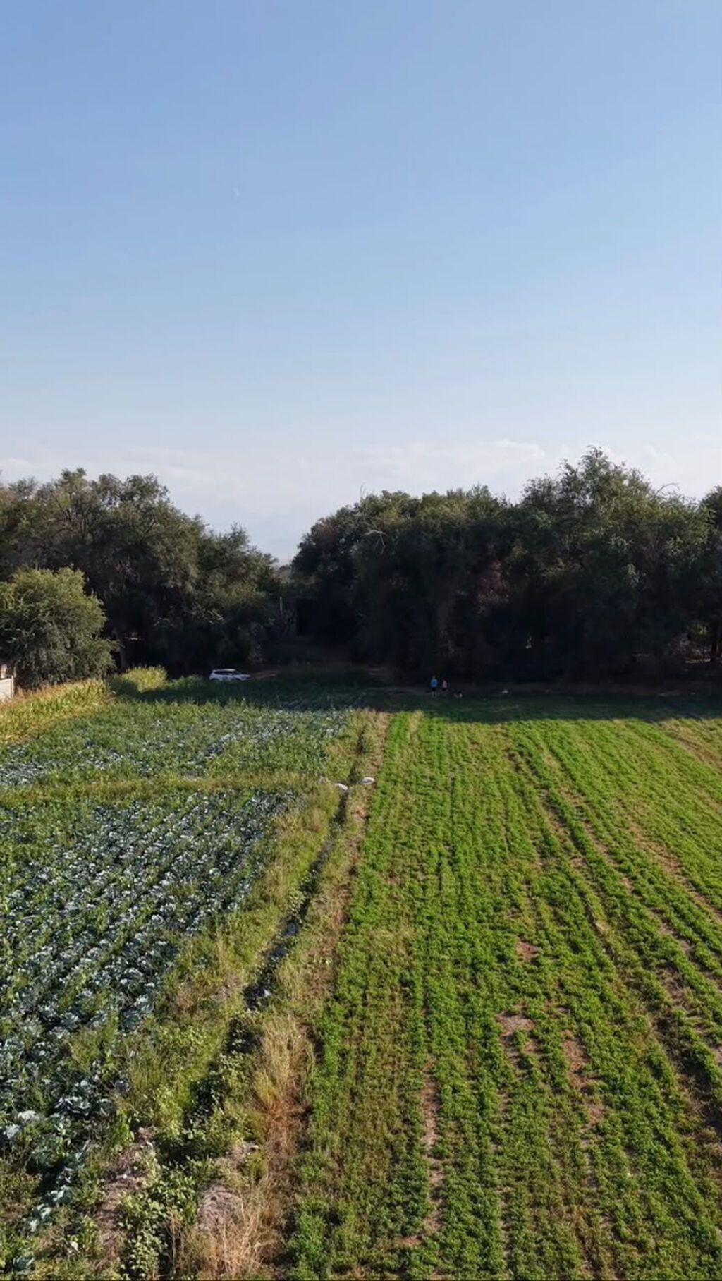 460 соток, Для сельского хозяйства: фото 8