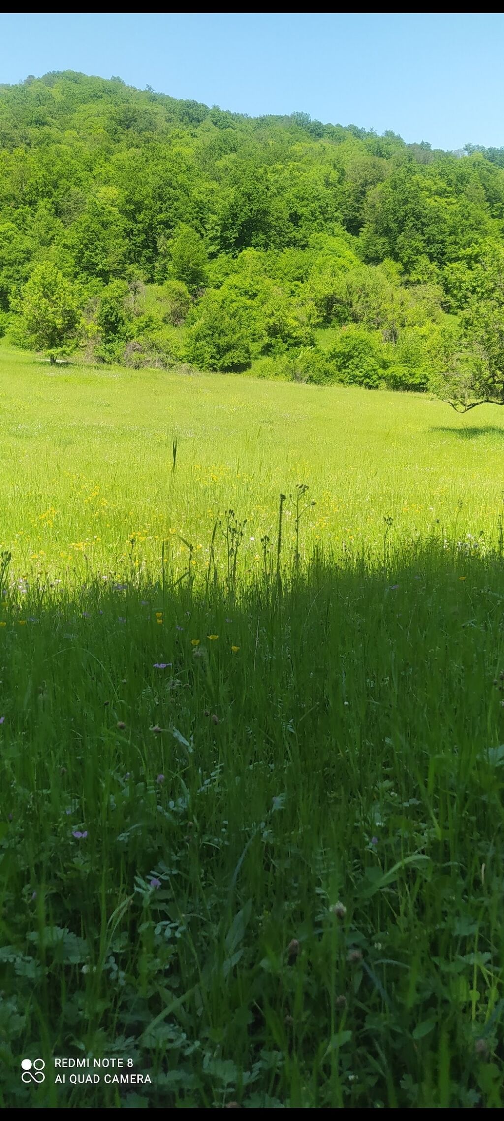 64 sot, Kənd təsərrüfatı, Mülkiyyətçi, Kupça (Çıxarış)