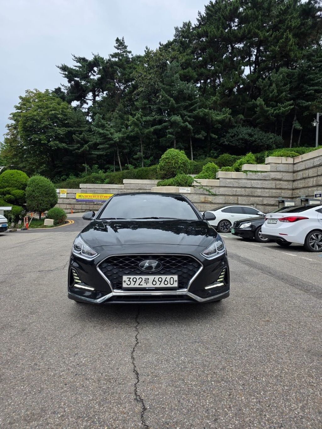 Hyundai Sonata: 2022 г., 2 л, Автомат, Газ, Седан: фото 1