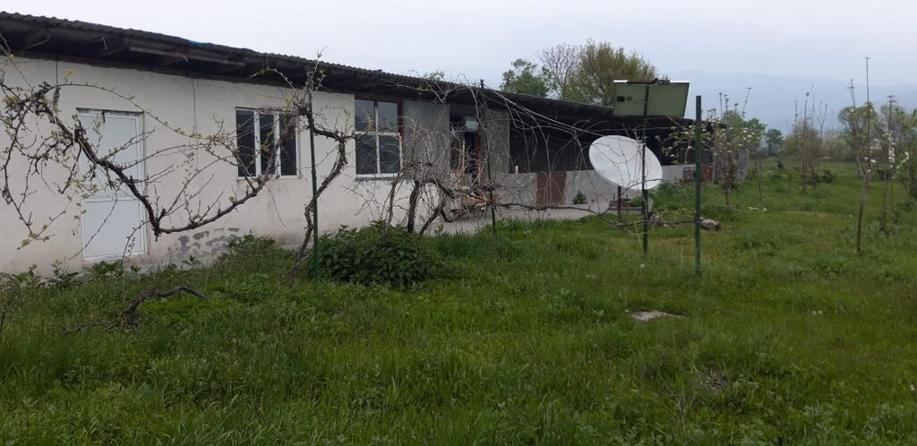Heyvandarlıq üçün ferma binası - Dəyərindən qat qat az məbləğə TƏCİLİ