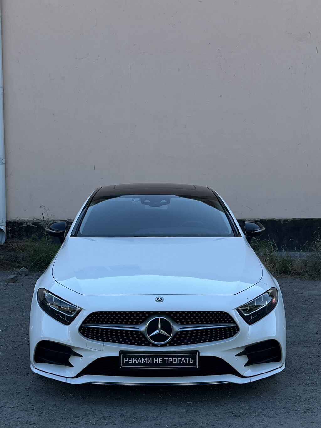 Mercedes-Benz CLS-Class: 2019 г., 2 л, Автомат, Дизель, Седан: фото 6