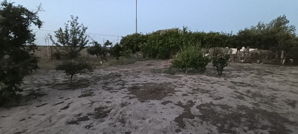 10 sot, Tikinti, Maklerlər narahat etməsin, Kupça (Çıxarış)