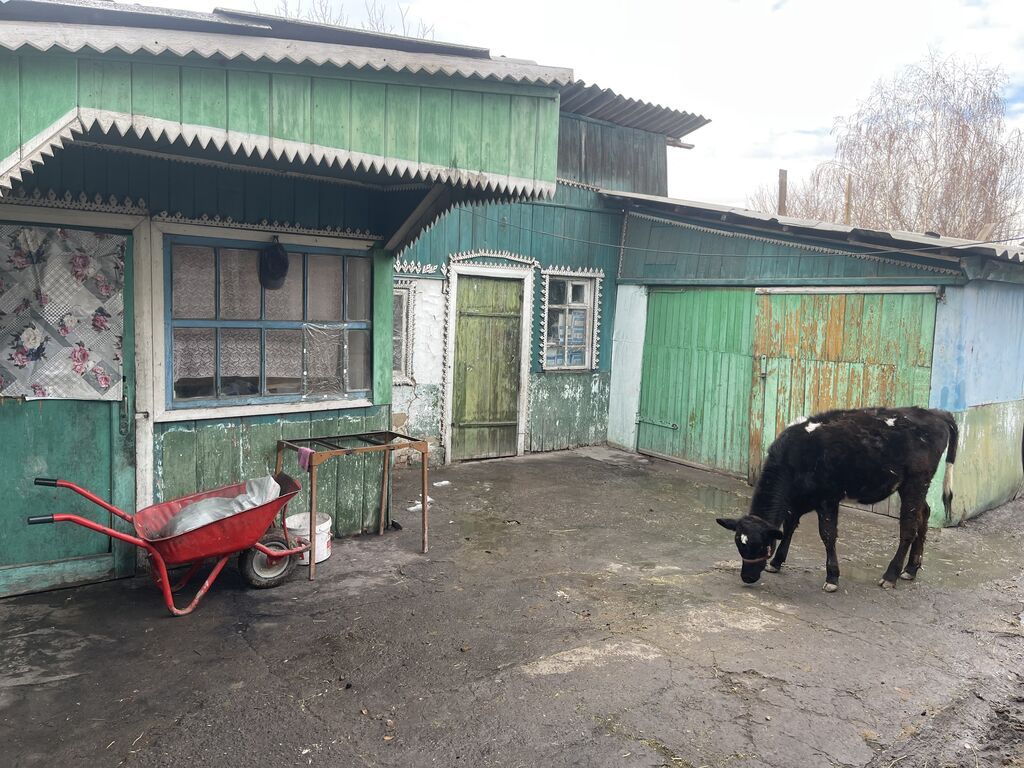 ПРОДАЕТСЯ ДОМ В КАРА БАЛТЕ БЛИЖЕ К ЦЕНТРУ .РЯДОМ НУР МЕЧИТ ЛАГЕРЬ И СШ: фото 4