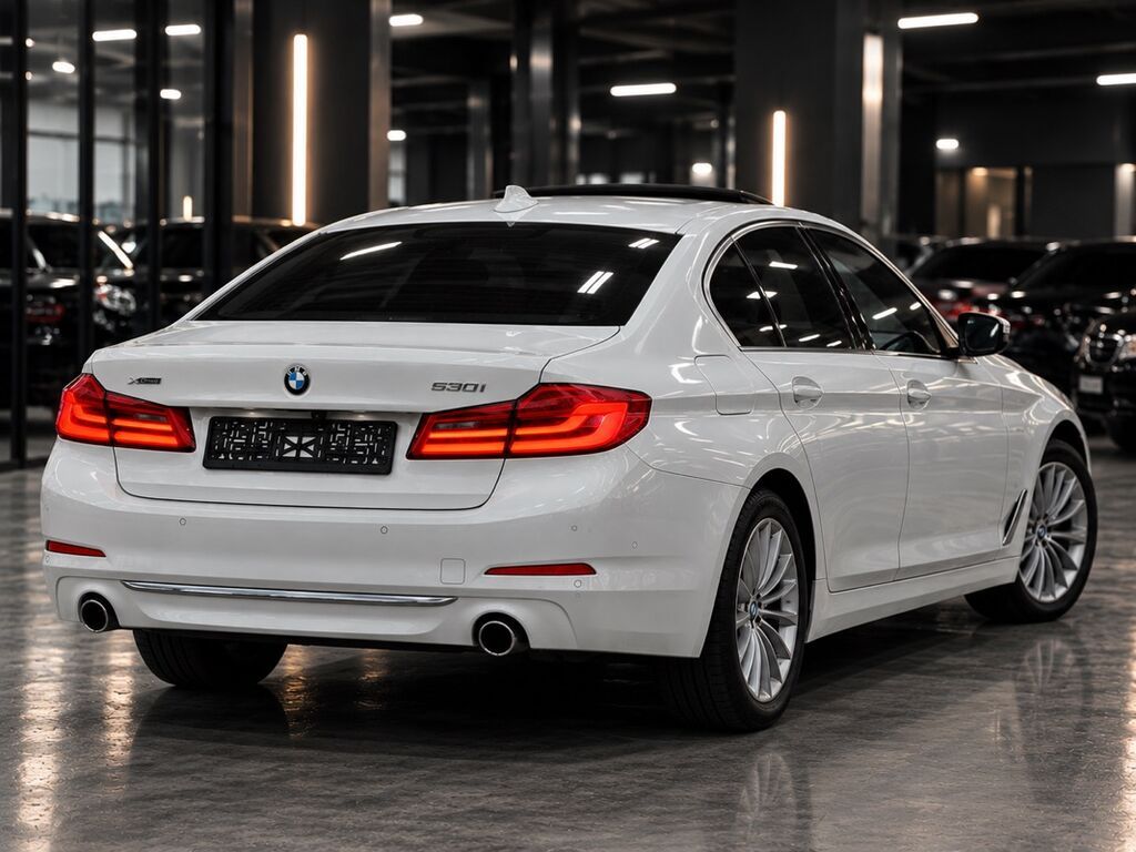 BMW 530: 2019 г., 2 л, Автомат, Бензин, Седан: фото 4