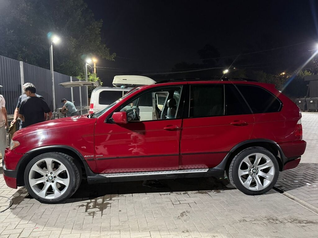 BMW X5: 2004 г., 4.8 л, Автомат, Бензин, Кроссовер: фото 3