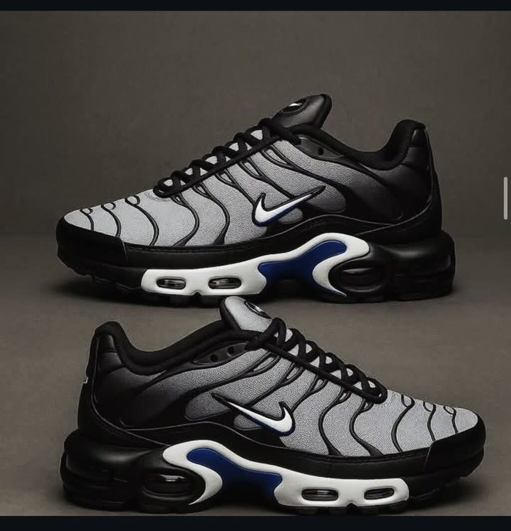 Patike: Nike Air Max Plus (TN) patike – siva/ crna sa belim i plavim