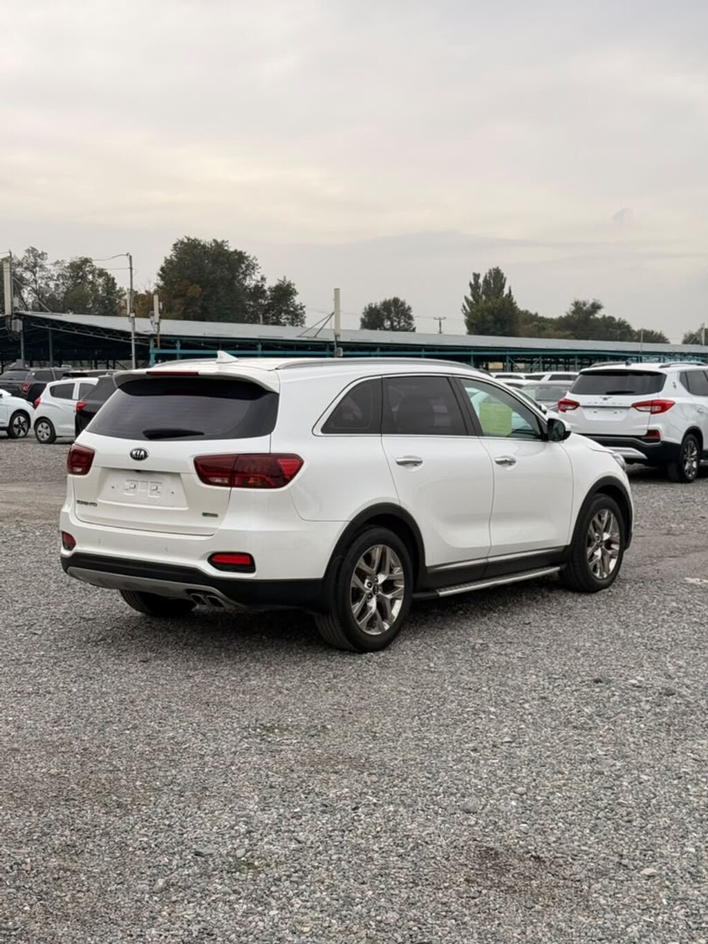 Kia Sorento: 2019 г., 2 л, Автомат, Дизель, Кроссовер: фото 5