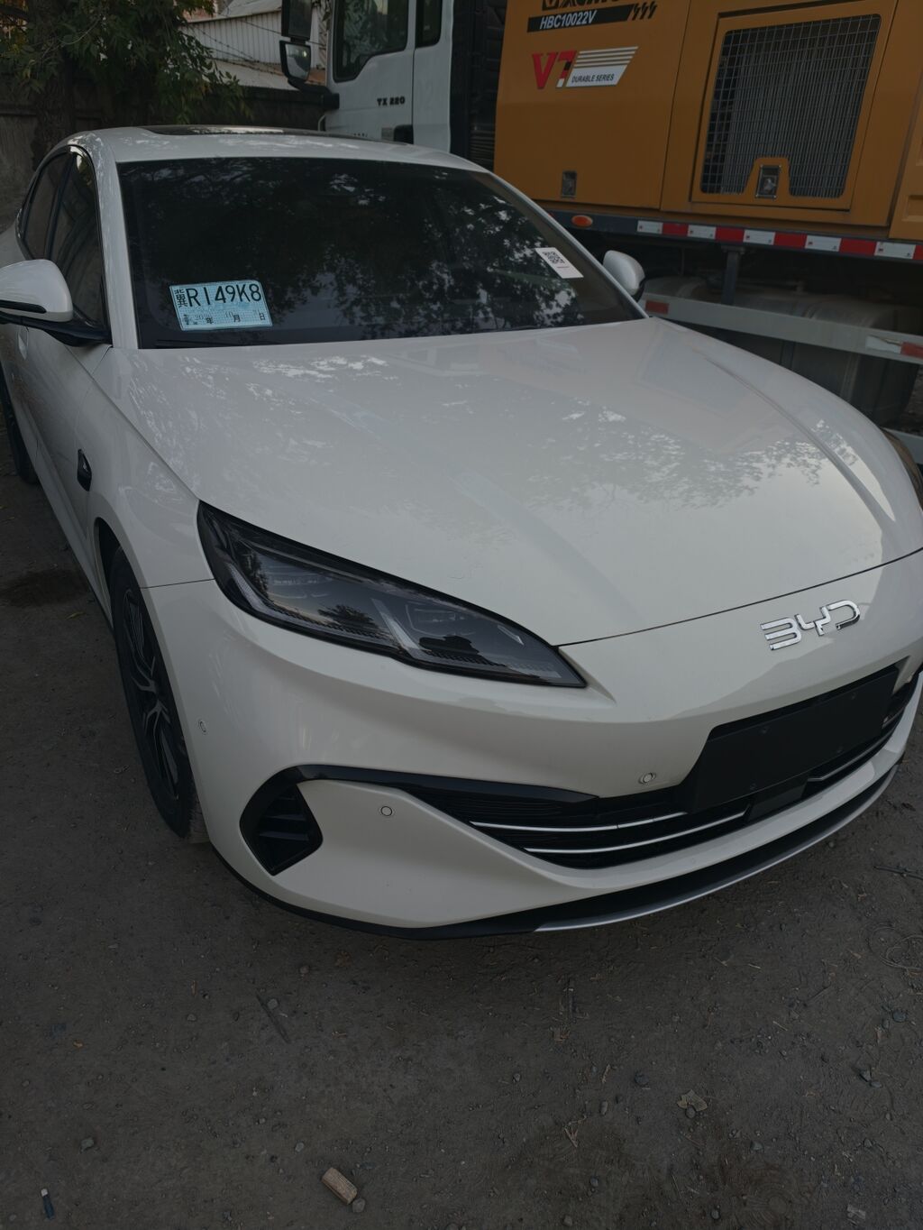 BYD Qin: 2025 г., Автомат, Гибрид, Лифтбек: фото 1