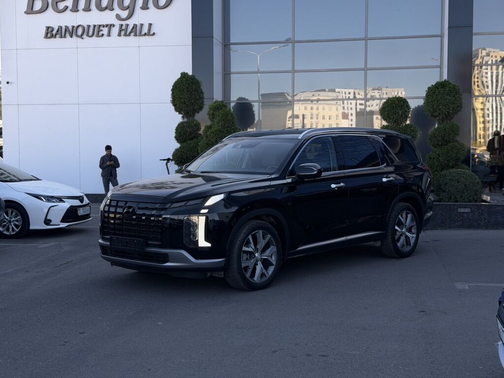 Hyundai Palisade: 2019 г., 2.2 л, Автомат, Дизель, Кроссовер: фото 3
