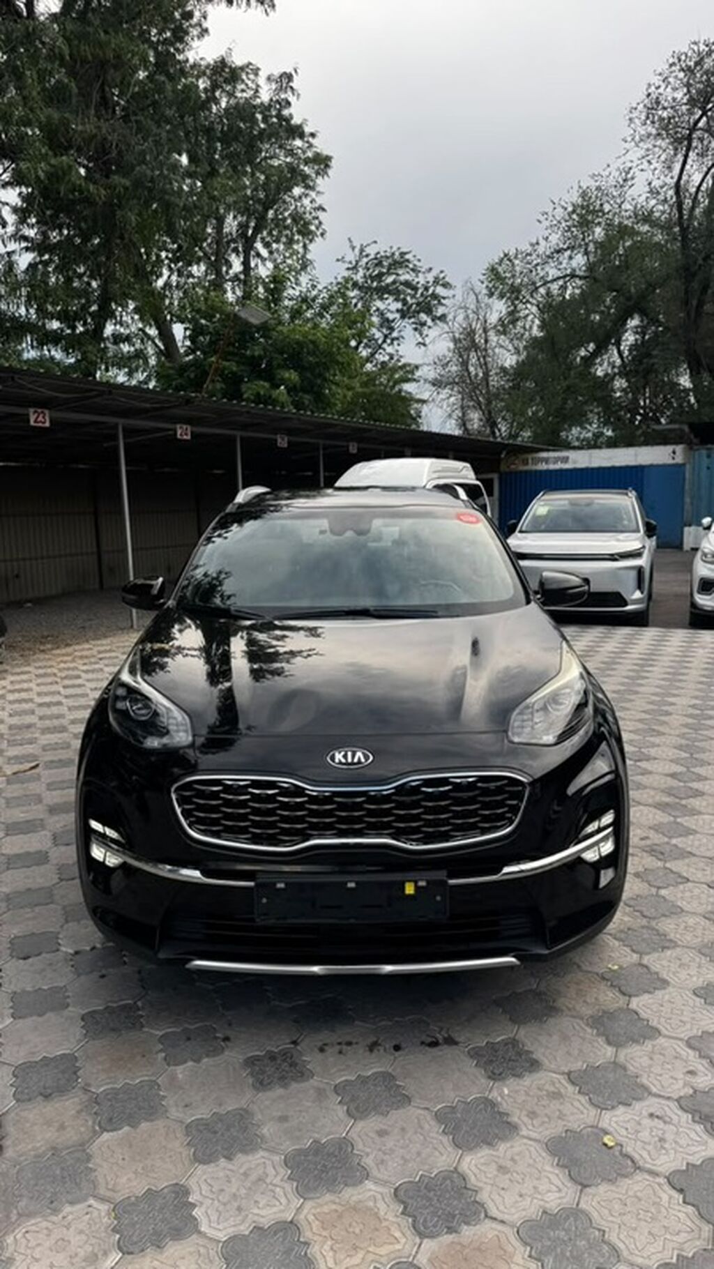 Kia Sportage: 2019 г., 2 л, Автомат, Дизель, Кроссовер: фото 1