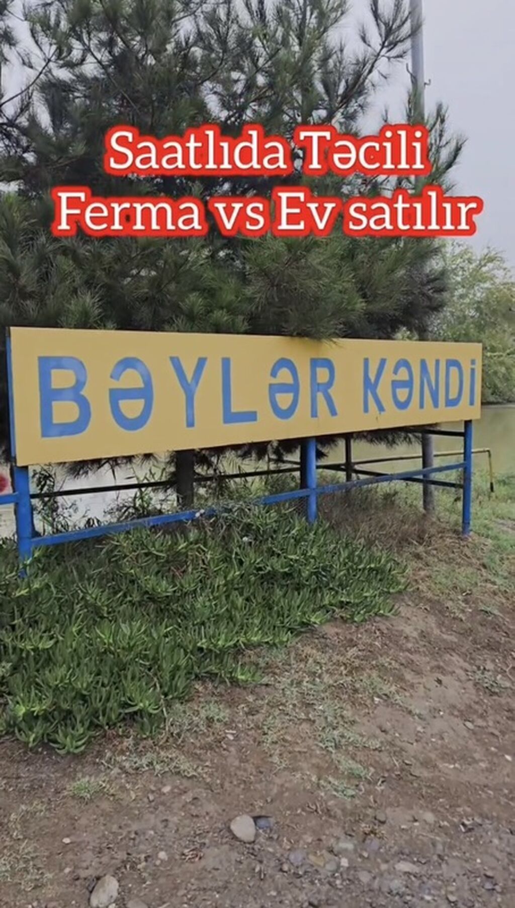 15 otaq, 1000 kv. m, Kredit yoxdur, Təmirsiz