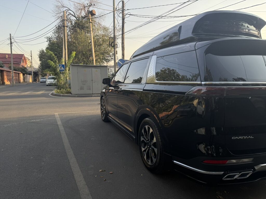 Kia Carnival: 2022 г., Минивэн: фото 6
