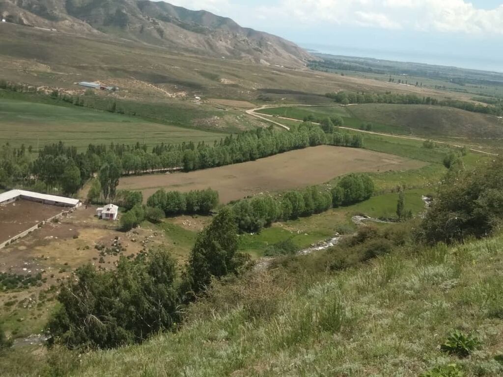Продаётся Кошара в Иссык-кульской области, село Ананьево. Имеется: фото 2