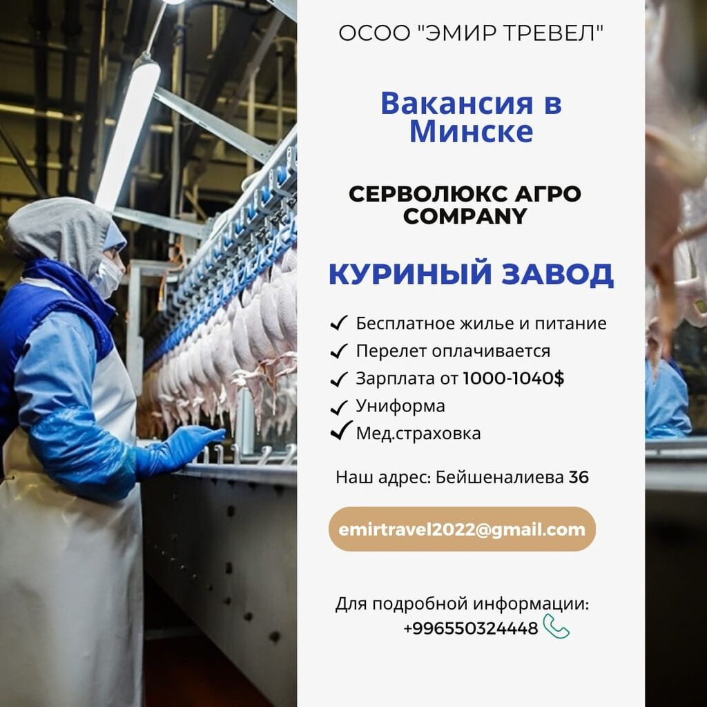 Вакансия в Минске 🔥🔥🔥🔥🔥 Куриный завод: 1040 USD ᐈ Другие специальности  в продажах | Бишкек | 65499449 ➤ lalafo.kg