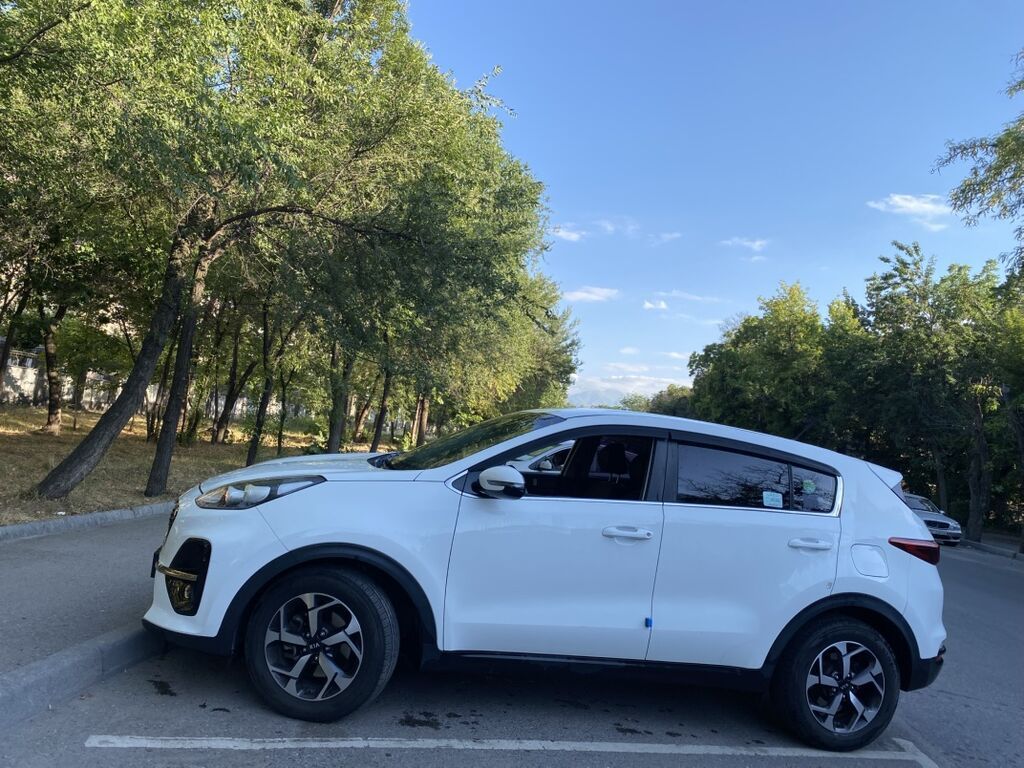 Kia Sportage: 2019 г., 2 л, Автомат, Дизель, Кроссовер — фото 2