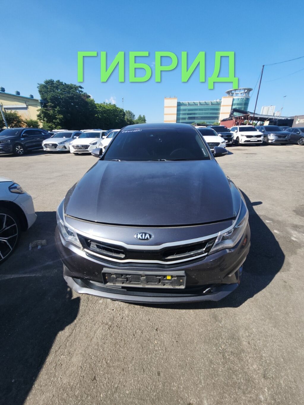 Kia K5: 2019 г., 2 л, Автомат, Гибрид, Седан — фото 8