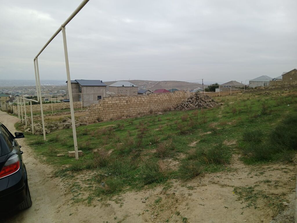 Tikinti