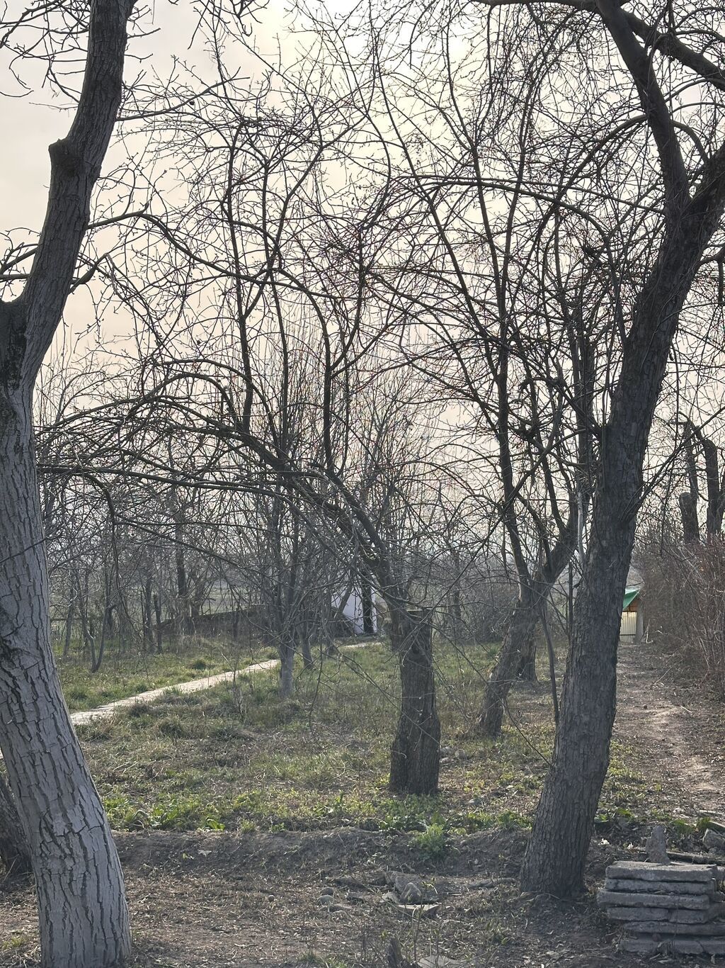 5 соток, Для бизнеса, Красная книга, Тех паспорт, Договор купли-продажи: фото 3