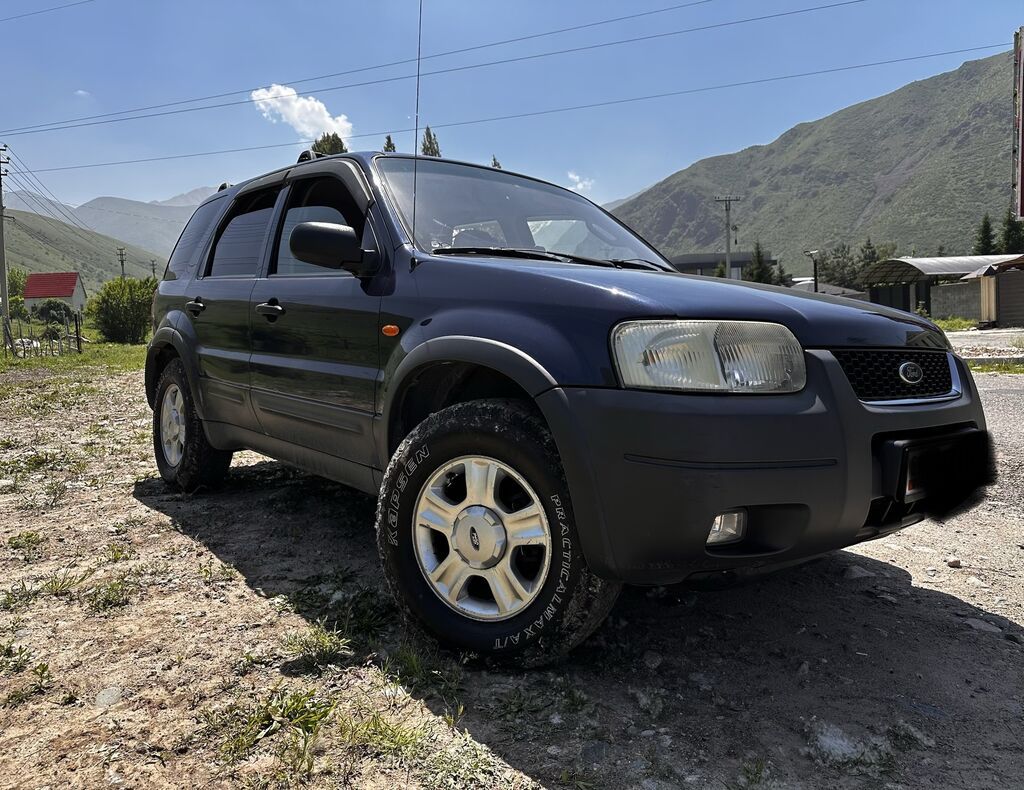 Ford Maverick: 2004 г., 3 л, Автомат, Газ, Кроссовер: фото 8