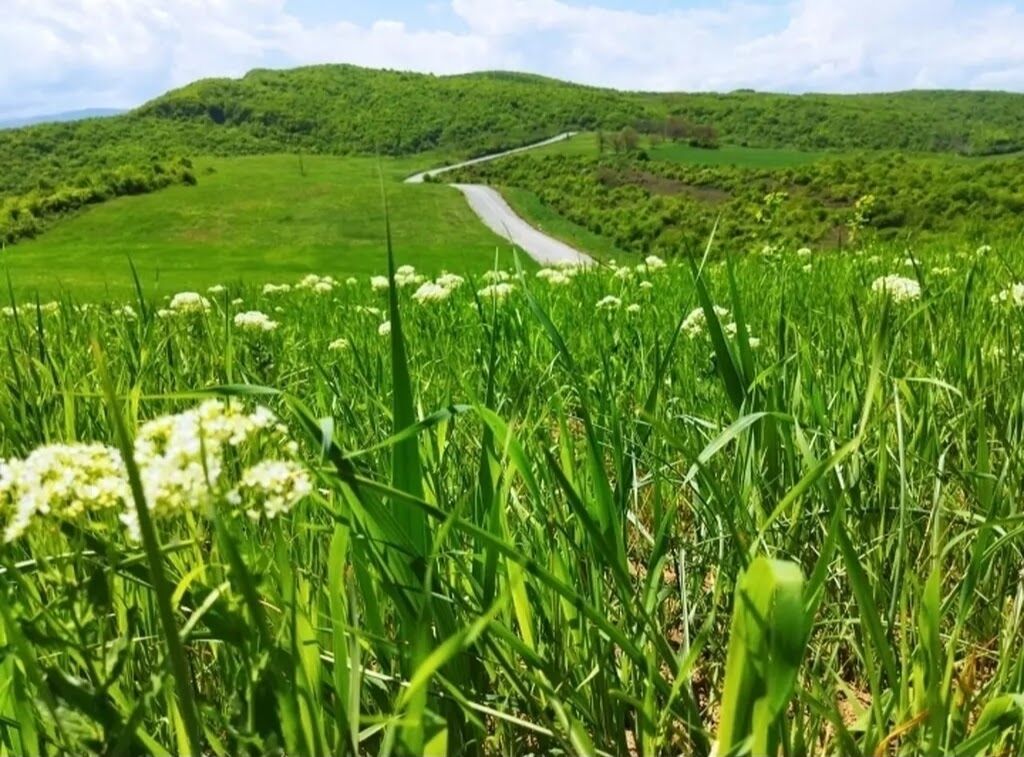 524 sot, Biznes üçün, Barter mümkündür, Kupça (Çıxarış)