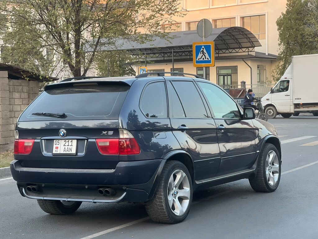 BMW X5: 2004 г., 4.4 л, Автомат, Бензин, Кроссовер: фото 7