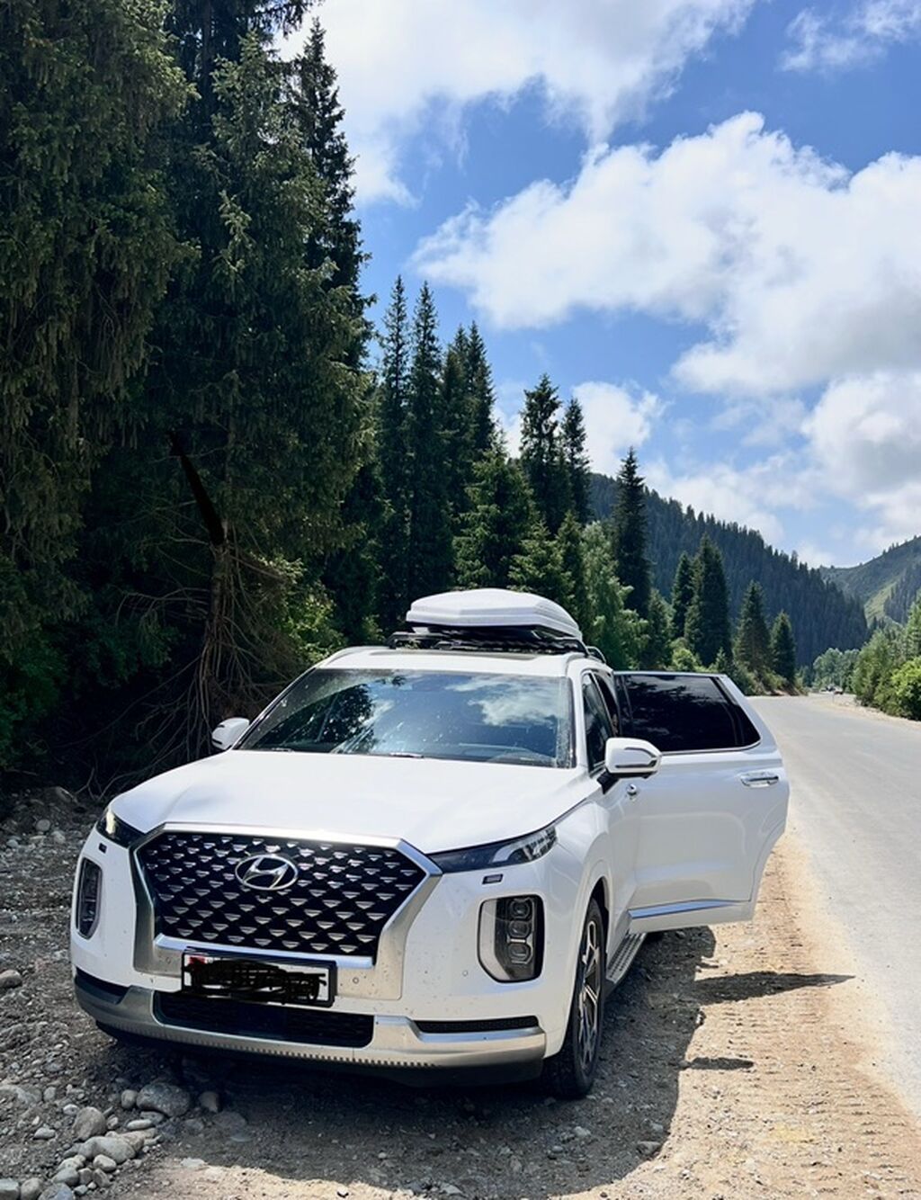 Hyundai Palisade: 2022 г., 2.2 л, Автомат, Дизель, Кроссовер: фото 1