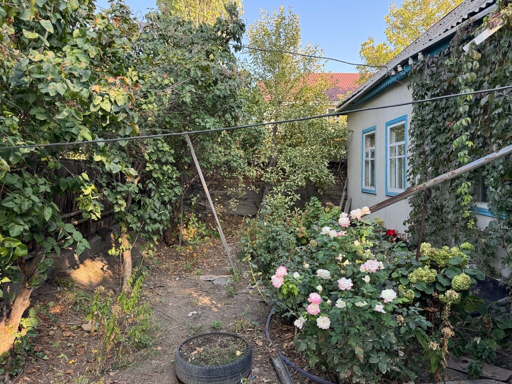 Дом с участком и садом - Отдельностоящий одноэтажный дом с двускатной: фото 3
