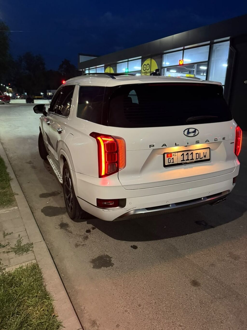 Hyundai Palisade: 2022 г., 2.2 л, Автомат, Дизель: фото 7